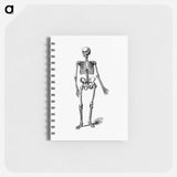 アートメモ帳-Skeleton of a Man
 - 大英図書館 Memo.