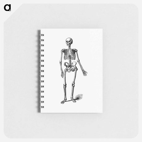 アートメモ帳-Skeleton of a Man
 - 大英図書館 Memo.