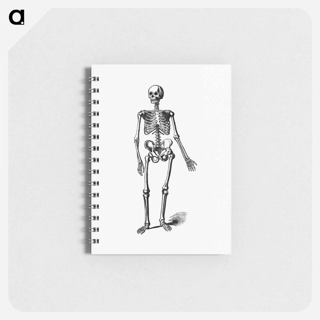 アートメモ帳-Skeleton of a Man
 - 大英図書館 Memo.