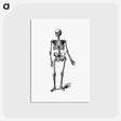 アートポストカード-Skeleton of a Man
 - 大英図書館 Postcard.