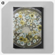 1-72_COVID-19_canvas
