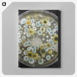 1-72_COVID-19_canvas