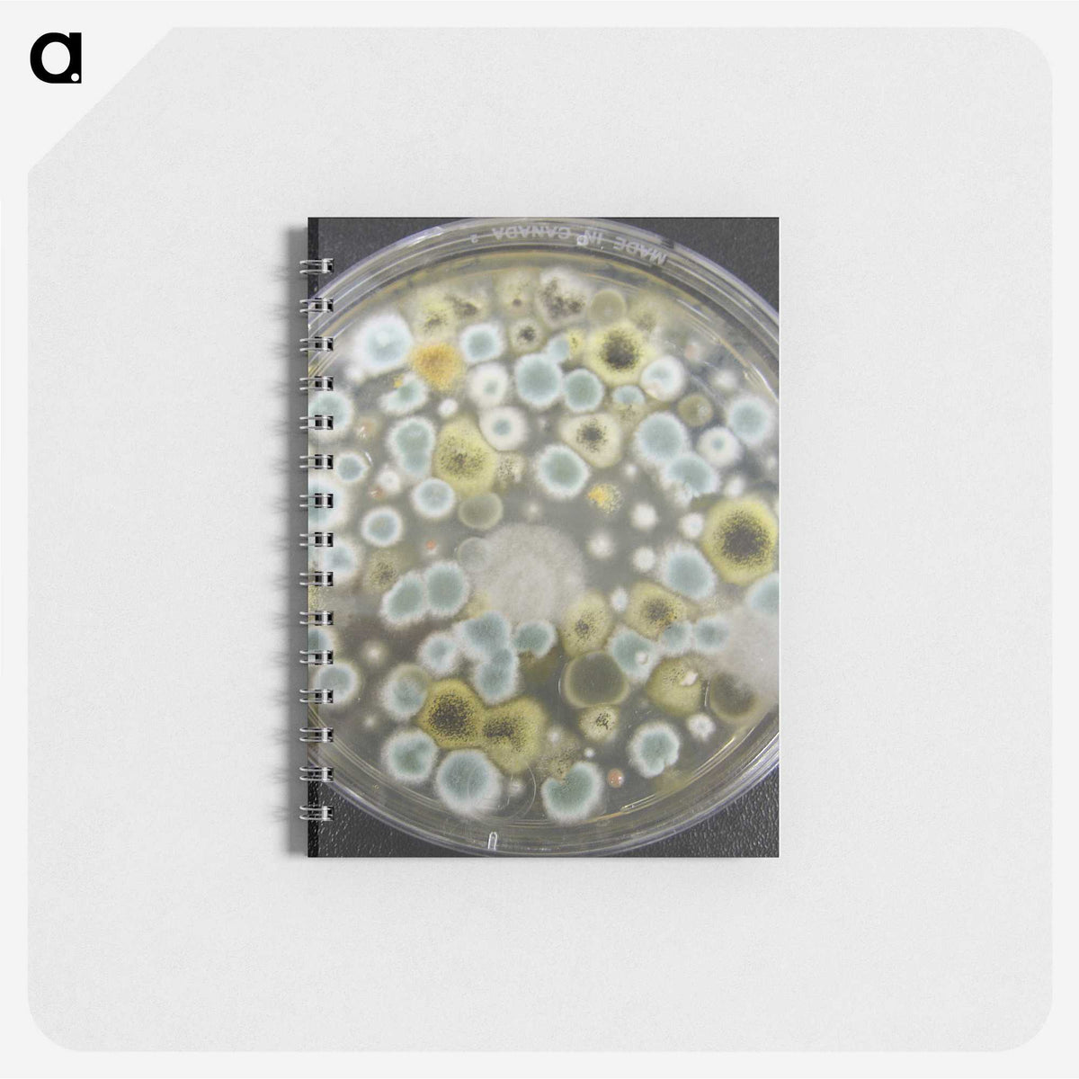 1-72_COVID-19_memo