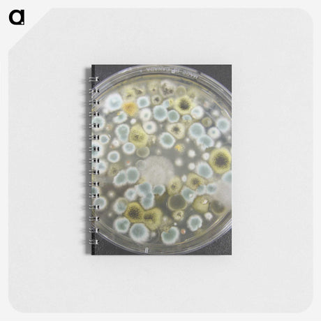 1-72_COVID-19_memo