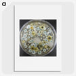 1-72_COVID-19_picture