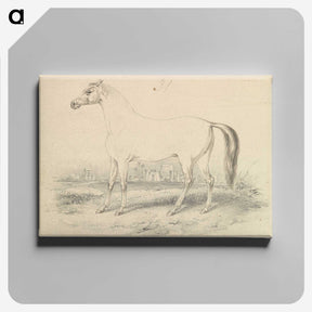 1-72_Charles-Hamilton-Smith_canvas