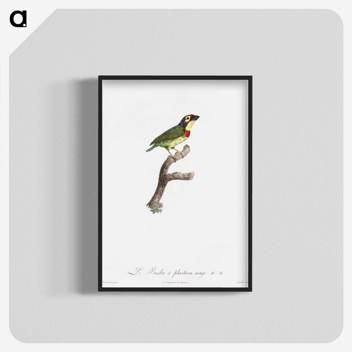1-72_Des-Oiseaux-de-Paradis_blk-crop