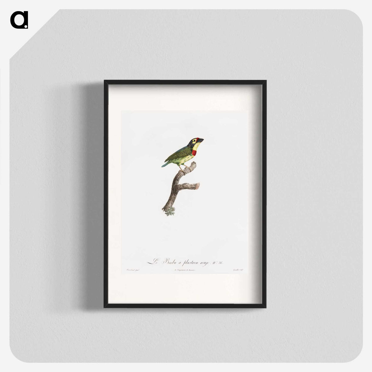 1-72_Des-Oiseaux-de-Paradis_blk