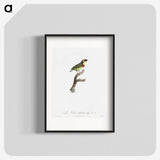 1-72_Des-Oiseaux-de-Paradis_blk