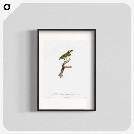 1-72_Des-Oiseaux-de-Paradis_blk