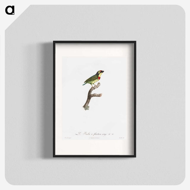 1-72_Des-Oiseaux-de-Paradis_blk