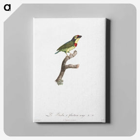 1-72_Des-Oiseaux-de-Paradis_canvas