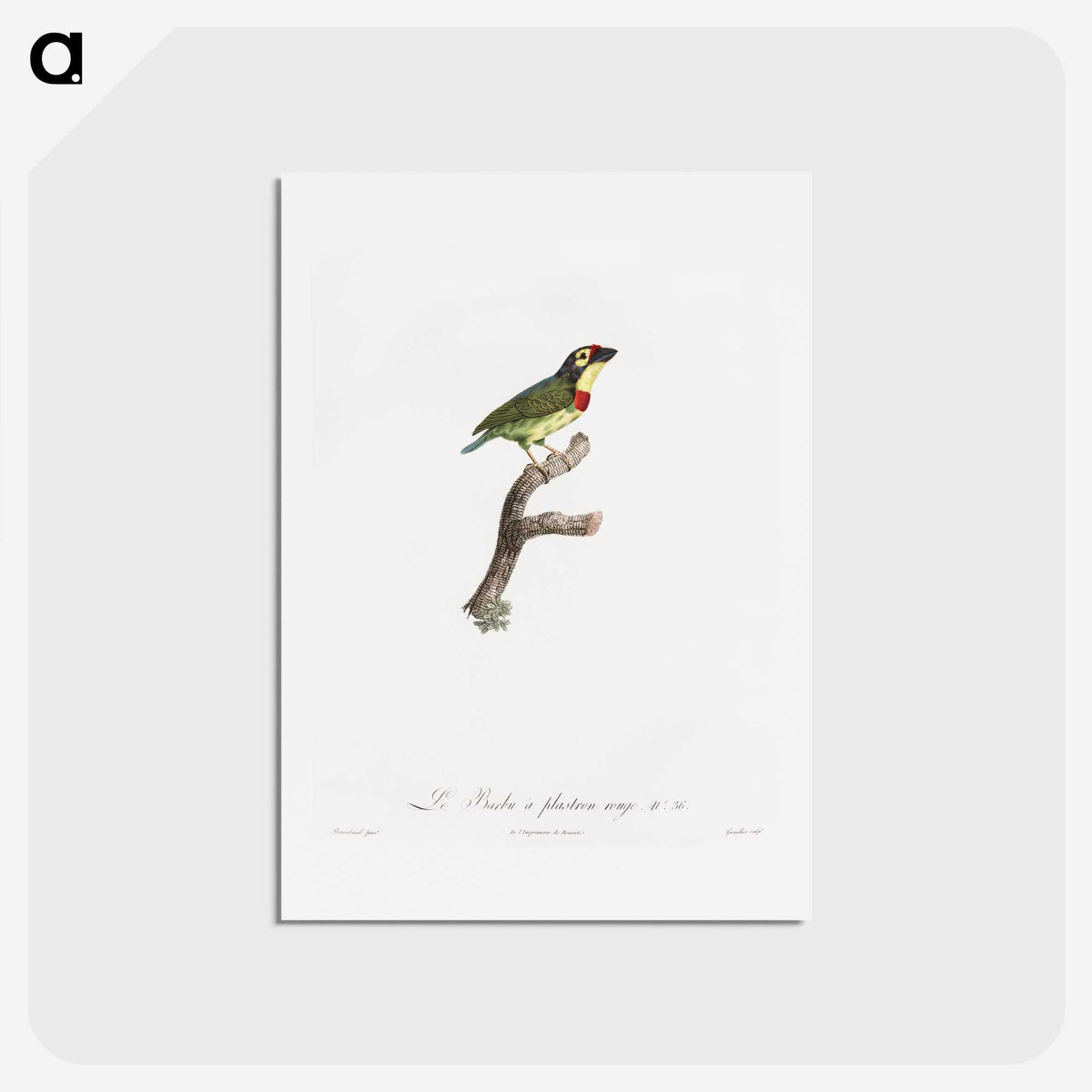 1-72_Des-Oiseaux-de-Paradis_hagaki