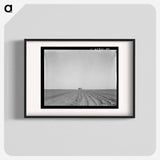 Abandoned tenant house, seen across tractored cotton fields. Childress County, Texas - Dorothea Lange Poster.