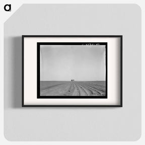 アートポスター-Abandoned tenant house, seen across tractored cotton fields. Childress County, Texas - ドロテア ラング Poster.