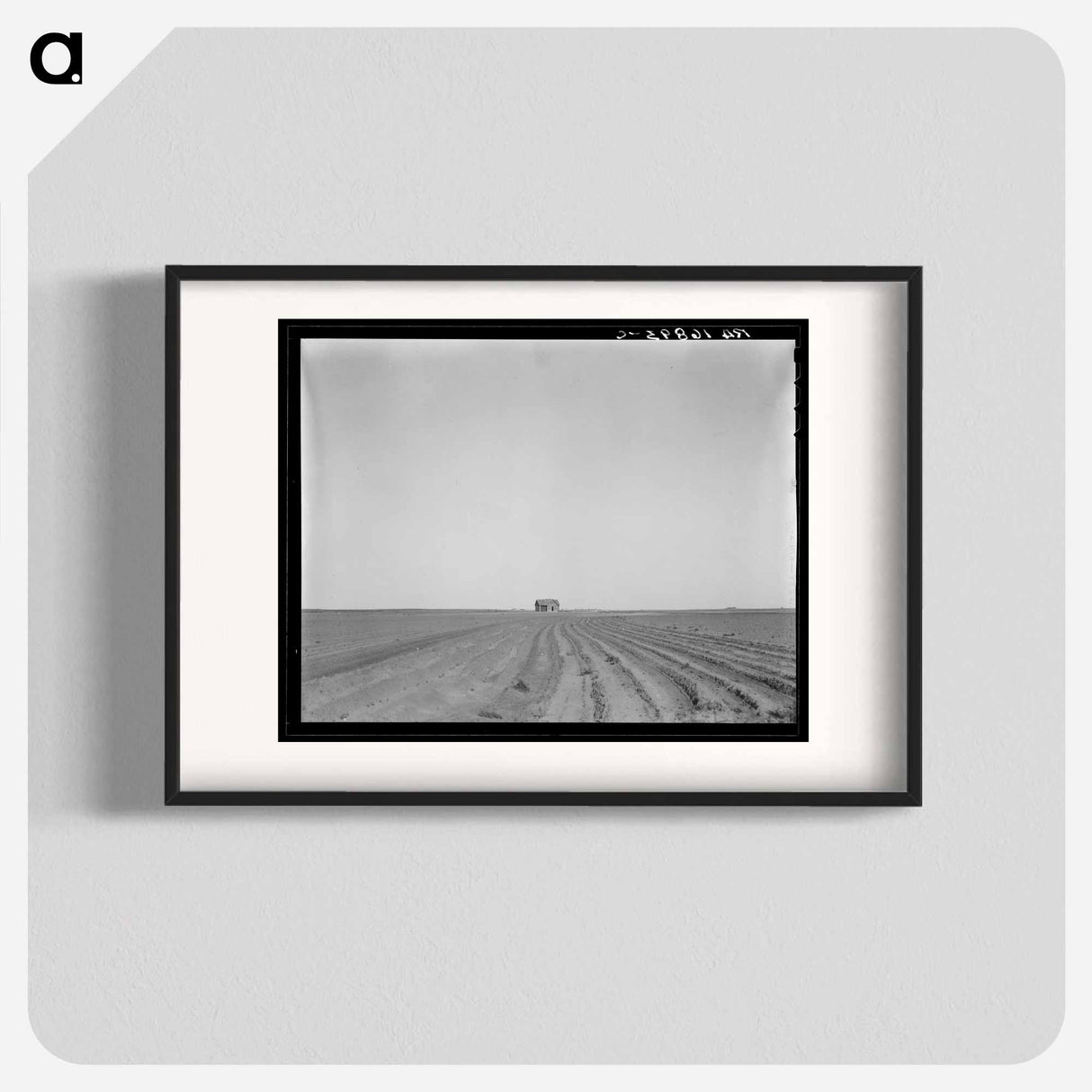 Abandoned tenant house, seen across tractored cotton fields. Childress County, Texas - ドロテア ラング Poster.