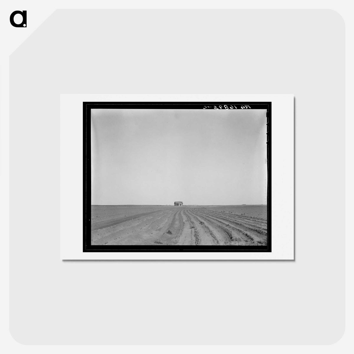 1-72_Dorothea-Lange_hagaki
