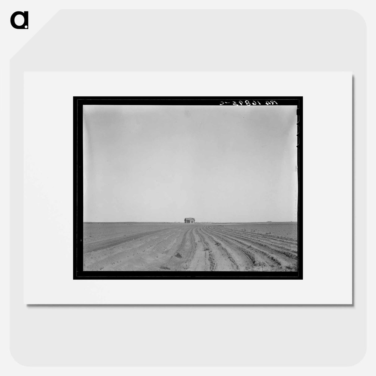 Abandoned tenant house, seen across tractored cotton fields. Childress County, Texas - Dorothea Lange Poster.