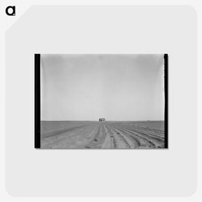 1-72_Dorothea-Lange_postcard