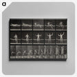 1-72_Eadweard-Muybridge_canvas