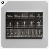 1-72_Eadweard-Muybridge_canvas