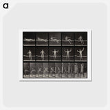 アートポストカード-Emergence
 - エドワード マイブリッジ Postcard.