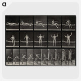 1-72_Eadweard-Muybridge_picture-crop
