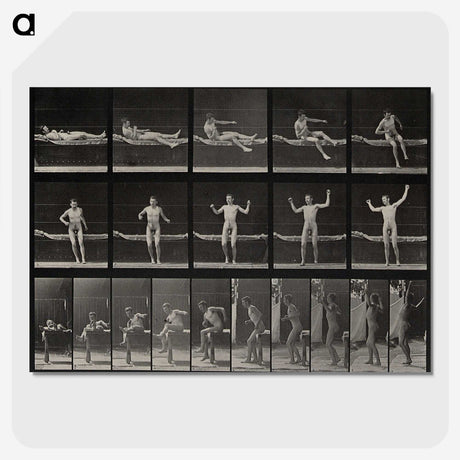 1-72_Eadweard-Muybridge_picture-crop
