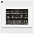 1-72_Eadweard-Muybridge_picture
