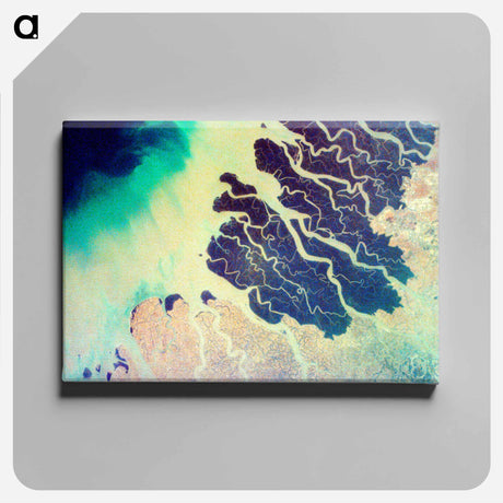 アートパネル-Ganges Delta
 - 上空からの地球 Canvas.