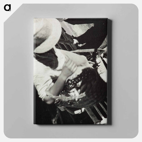 Pitcairn - エリック リー ジョンソン Canvas.