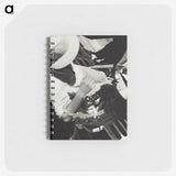 1-72_Eric-Lee-Johnson_memo