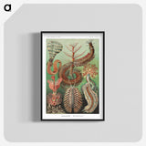 1-72_Ernst-Haeckel_blk-crop