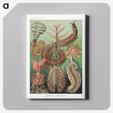 1-72_Ernst-Haeckel_canvas