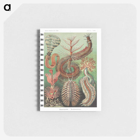 1-72_Ernst-Haeckel_memo