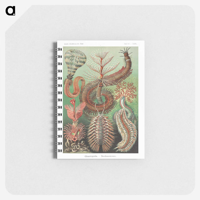 1-72_Ernst-Haeckel_memo