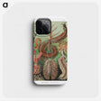 1-72_Ernst-Haeckel_phone