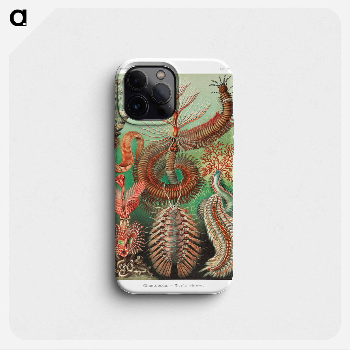 Chaetopoda–Borstenwürmer - エルンスト ヘッケル Phone Case.