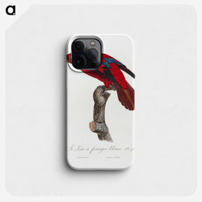 1-72_Francois-Levaillant_phone