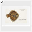 1-72_Frank-Edward-Clarke_picture