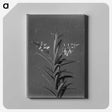 1-72_Frederick-Charles-Brockett_canvas