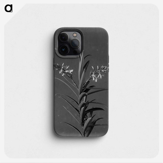 1-72_Frederick-Charles-Brockett_phone