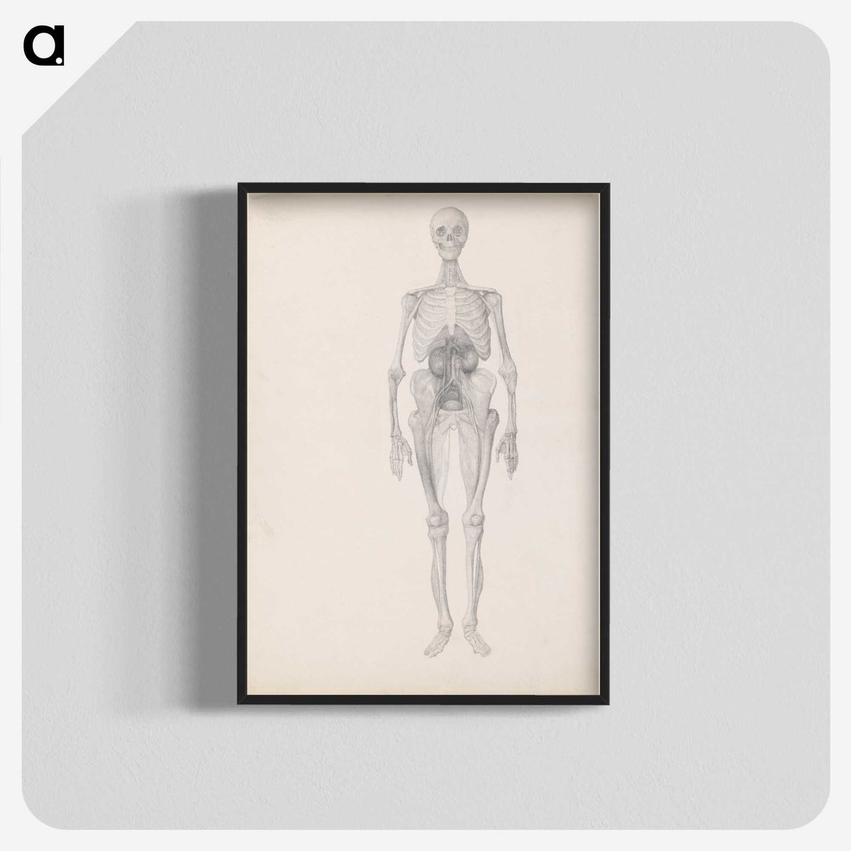 1-72_George-Stubbs_blk-crop