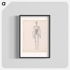 アートポスター-Human Figure, Anterior View
 - ジョージ スタッブス Poster.