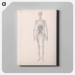 アートパネル-Human Figure, Anterior View
 - ジョージ スタッブス Canvas.