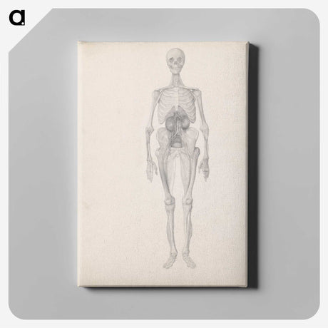 1-72_George-Stubbs_canvas