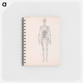 アートメモ帳-Human Figure, Anterior View
 - ジョージ スタッブス Memo.