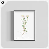 1-72_Histoire-des-Plantes-Grasses_blk-crop