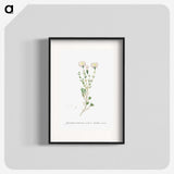 1-72_Histoire-des-Plantes-Grasses_blk