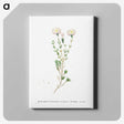 1-72_Histoire-des-Plantes-Grasses_canvas